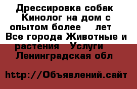Дрессировка собак (Кинолог на дом с опытом более 10 лет) - Все города Животные и растения » Услуги   . Ленинградская обл.